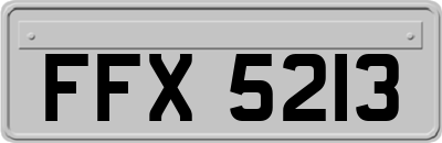 FFX5213
