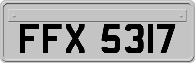 FFX5317
