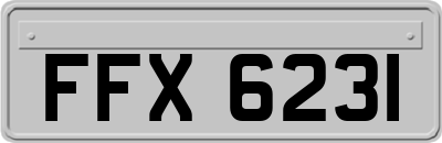 FFX6231