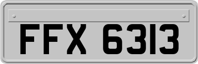 FFX6313
