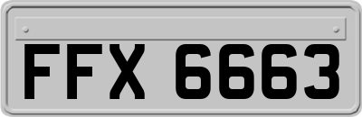 FFX6663