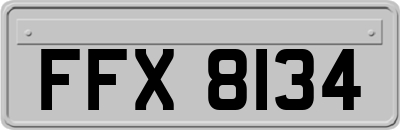 FFX8134