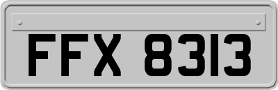FFX8313
