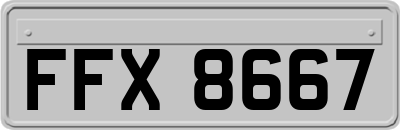 FFX8667