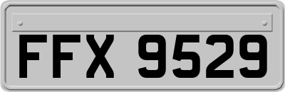 FFX9529
