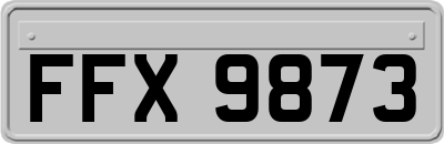 FFX9873