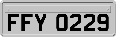 FFY0229