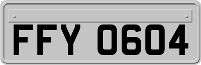 FFY0604