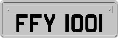 FFY1001
