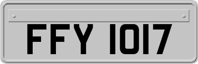 FFY1017