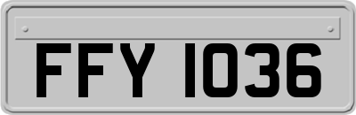 FFY1036
