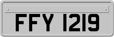 FFY1219