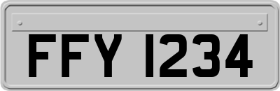 FFY1234
