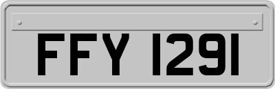 FFY1291
