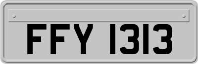 FFY1313