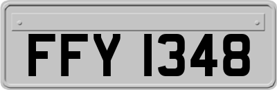 FFY1348