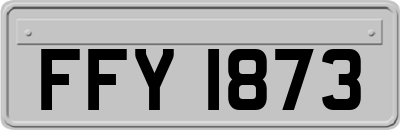 FFY1873