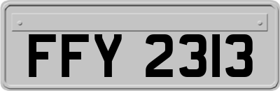 FFY2313
