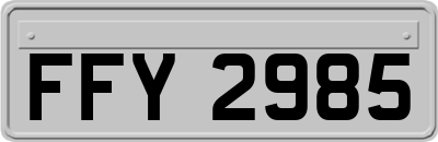 FFY2985