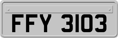 FFY3103