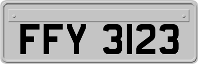 FFY3123