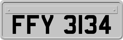 FFY3134