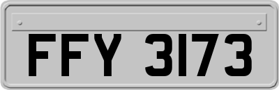 FFY3173