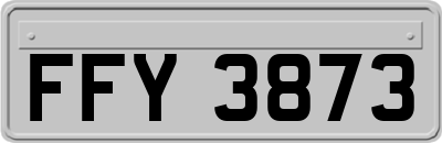 FFY3873
