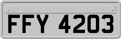 FFY4203