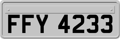 FFY4233