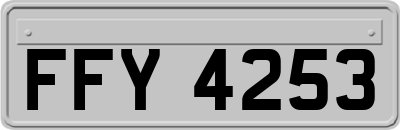 FFY4253