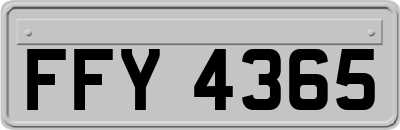 FFY4365