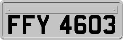 FFY4603