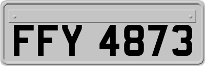 FFY4873