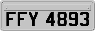 FFY4893