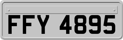 FFY4895