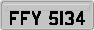 FFY5134