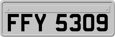 FFY5309