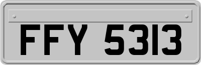 FFY5313