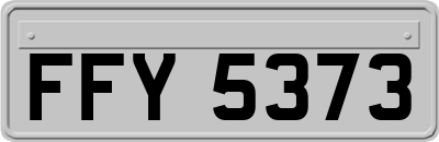 FFY5373