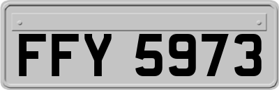 FFY5973