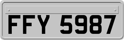 FFY5987