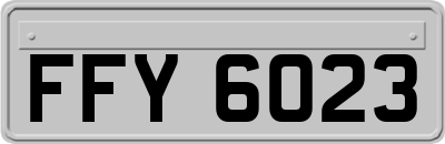 FFY6023