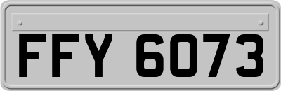 FFY6073