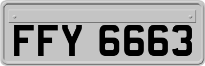 FFY6663