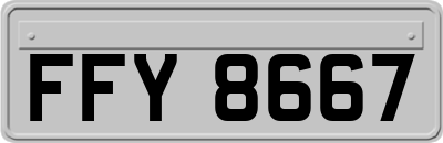 FFY8667