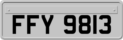 FFY9813
