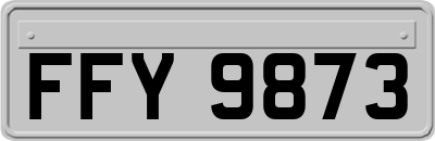 FFY9873