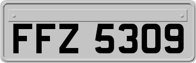 FFZ5309