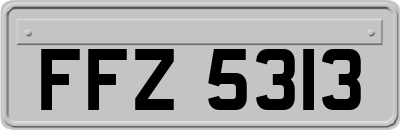 FFZ5313